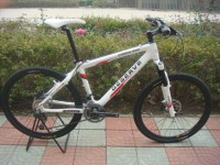 BICICLETA MONTAÑA EN CARBONO